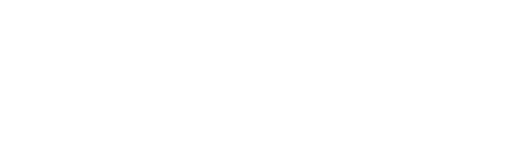 Dental Brush